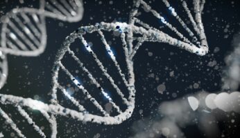 a close up of a structure of a structure, Is It Possible To Not Have Cannabinoid Receptors?